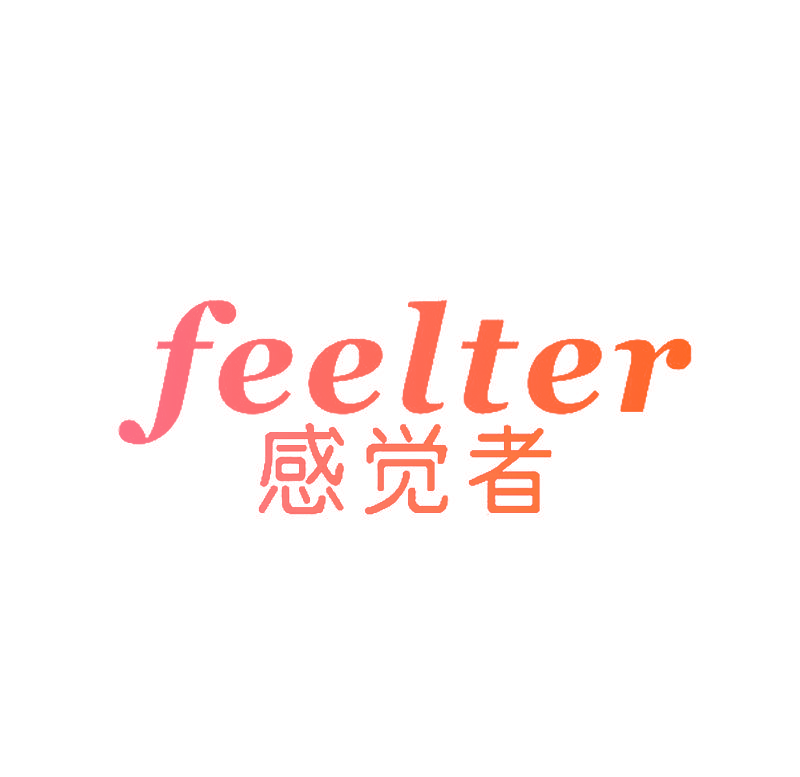 感觉者 FEELTER