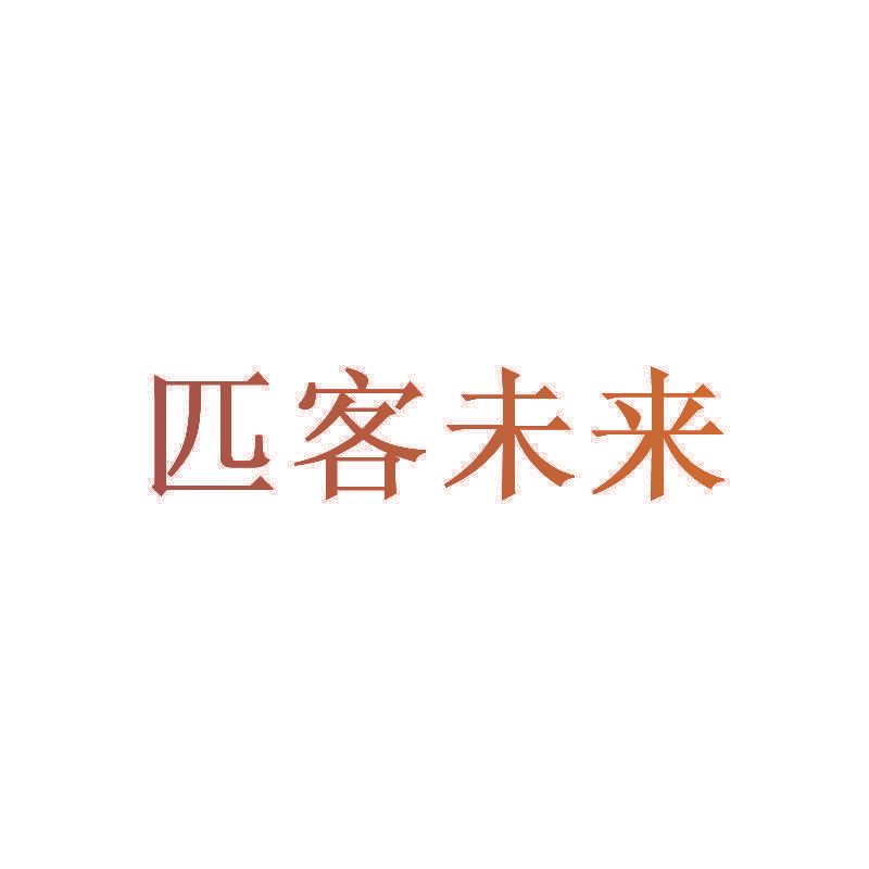 匹客未来