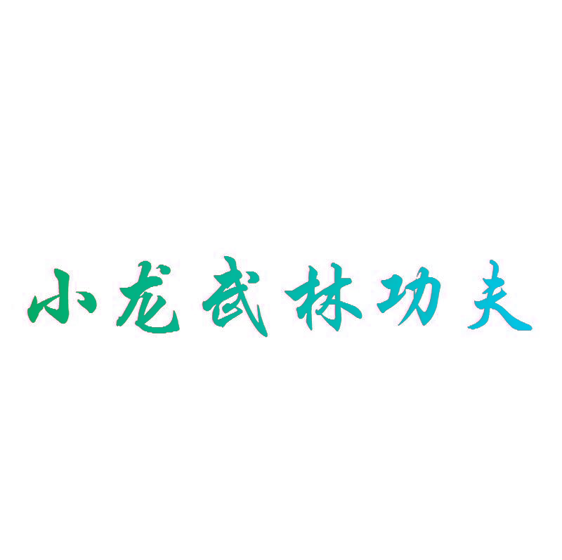 小龙武林功夫