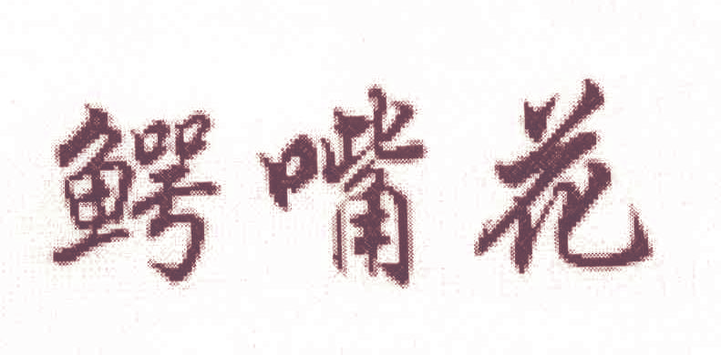 鳄嘴花