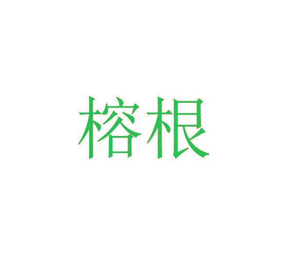 榕根