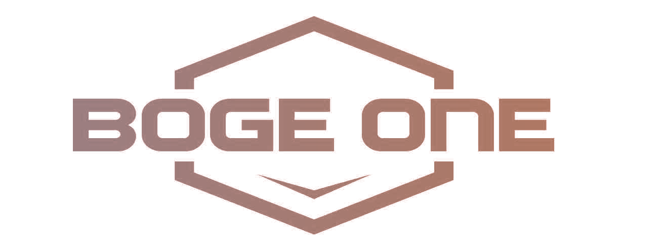 BOGE ONE