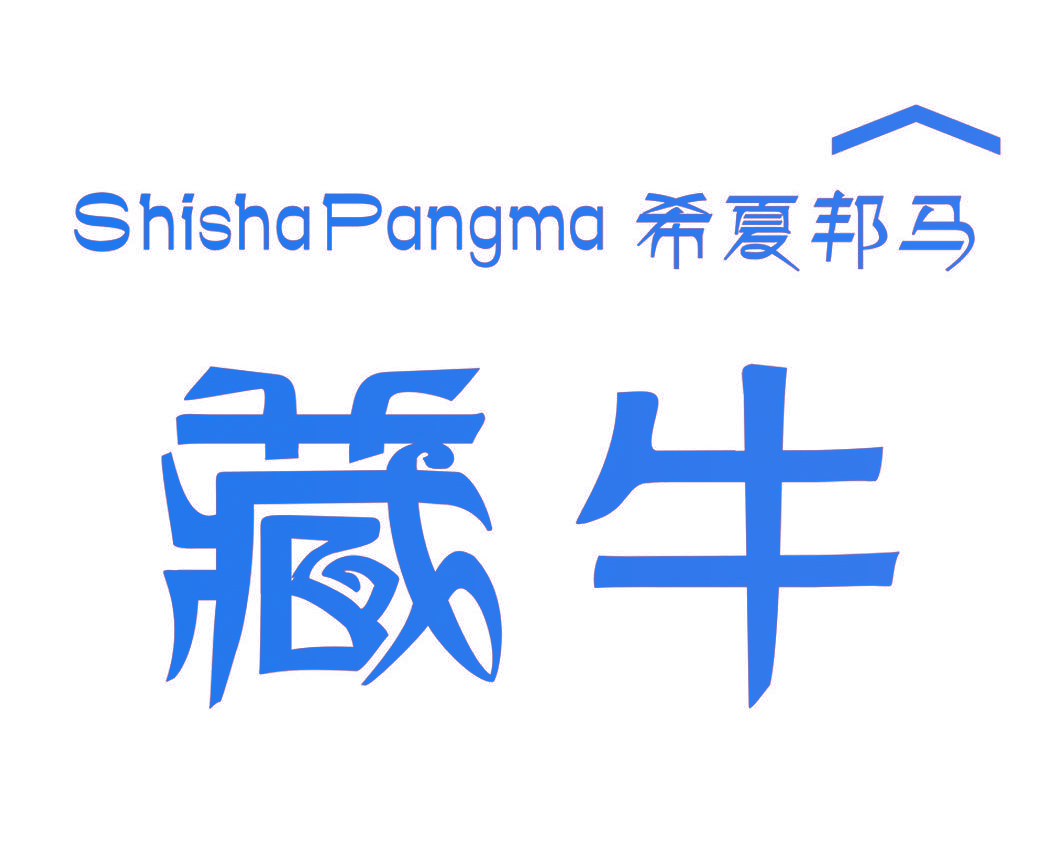 藏牛 希夏邦马 SHISHAPANGMA