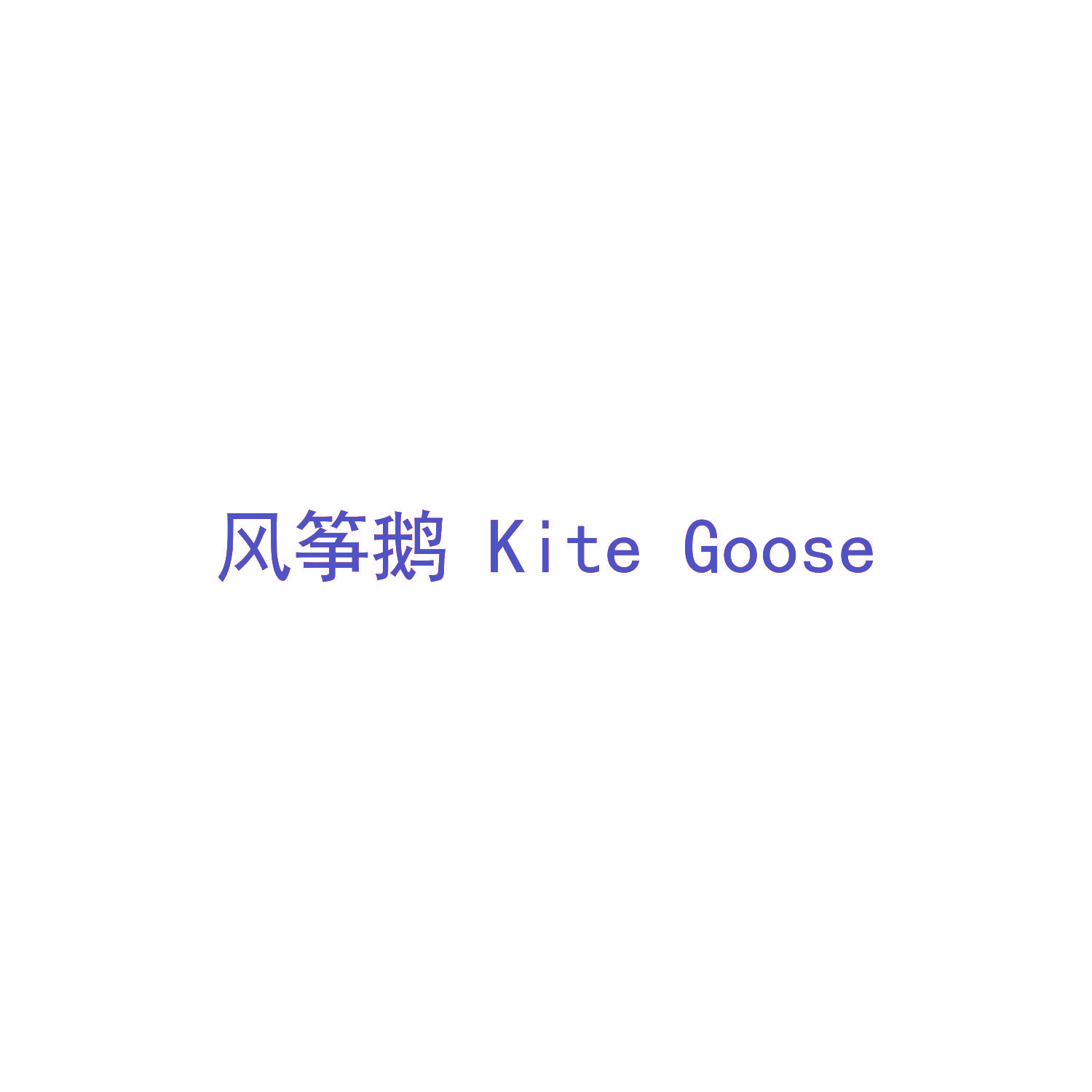 风筝鹅 KITE GOOSE