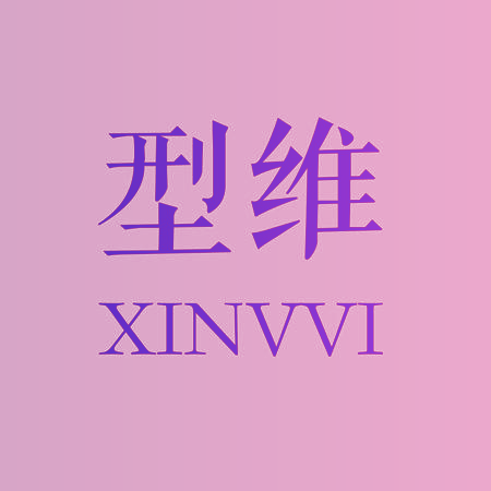 型维 XINVVI