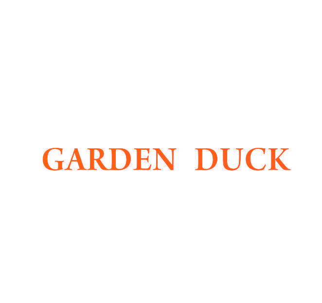 GARDEN DUCK