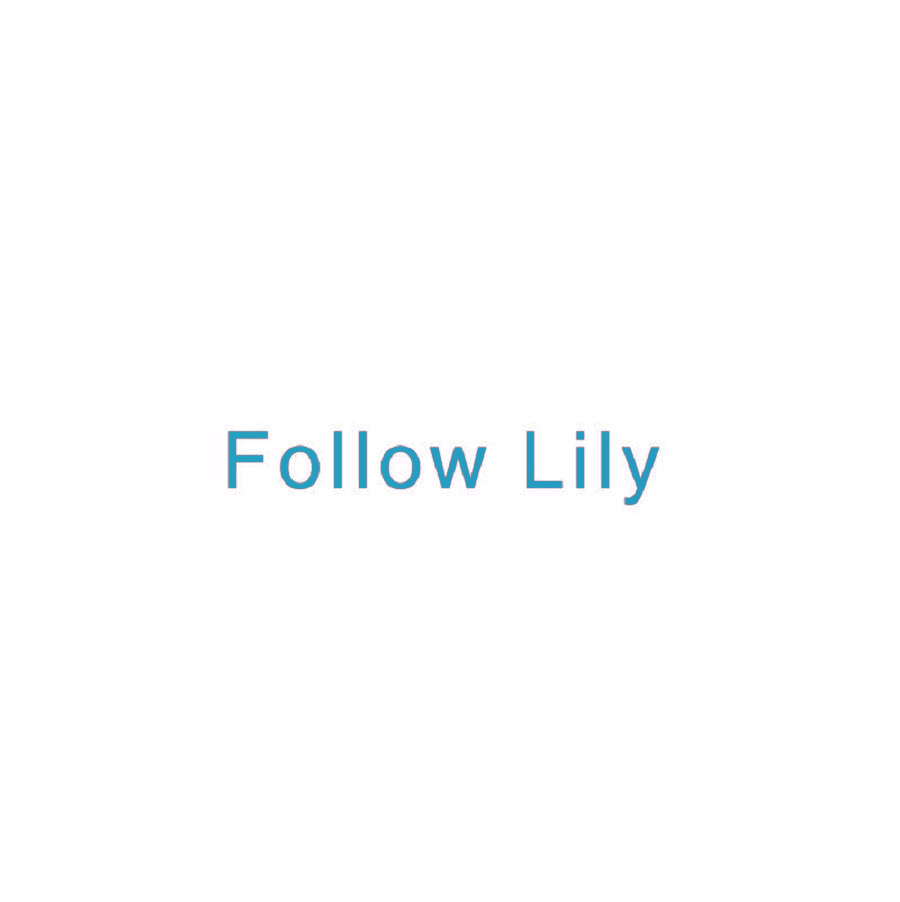 FOLLOW LILY