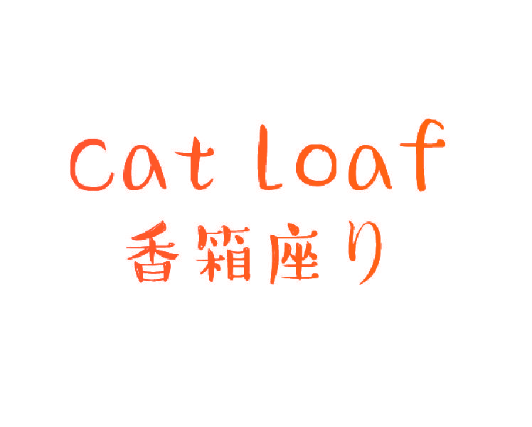 香箱座 CAT LOAF