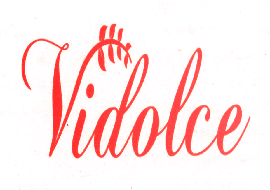 VIDOICE