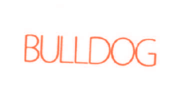 BULLDOG