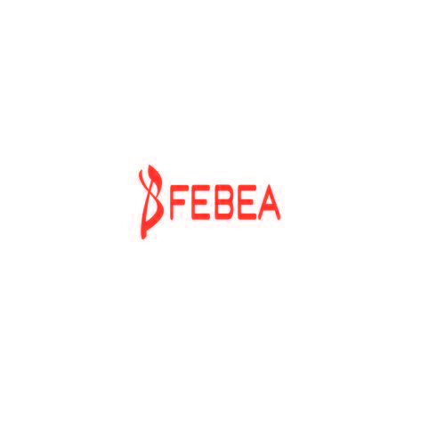 BFEBEA