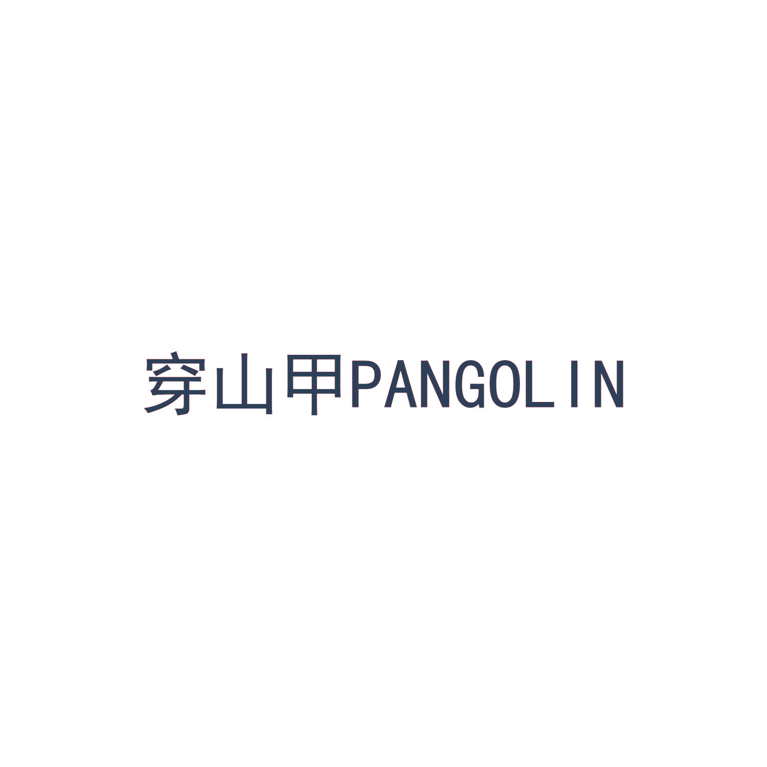 穿山甲 PANGOLIN