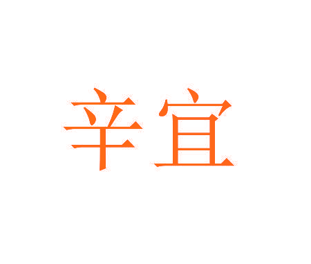 辛宜