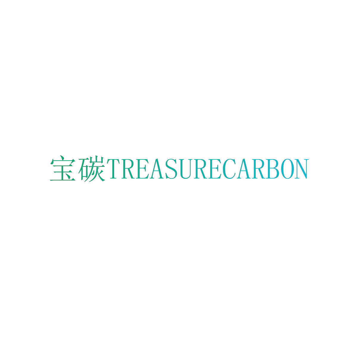 宝碳 TREASURECARBON