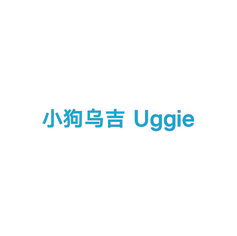 小狗乌吉  UGGIE