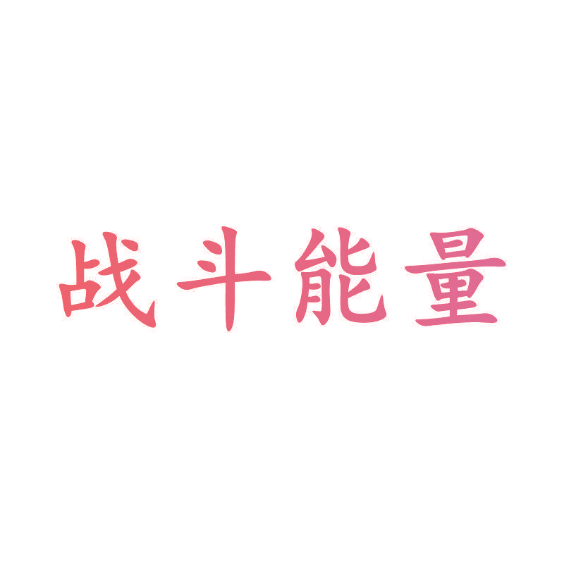 战斗能量