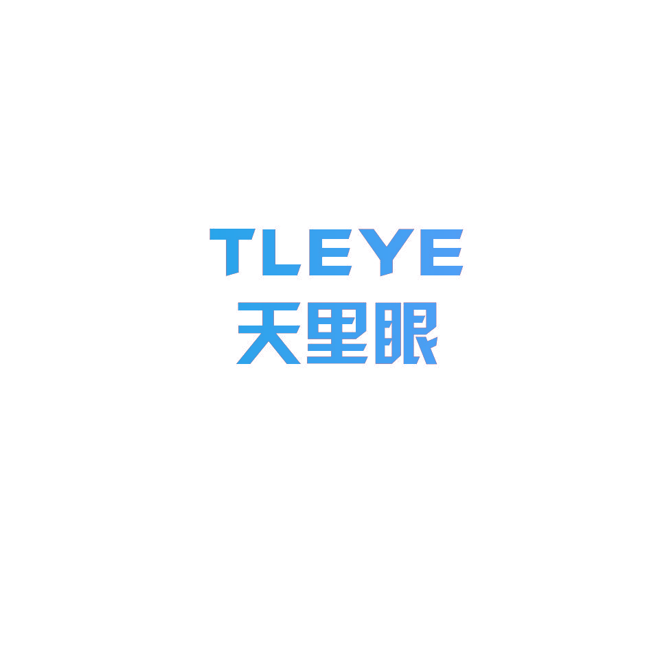 天里眼 TLEYE