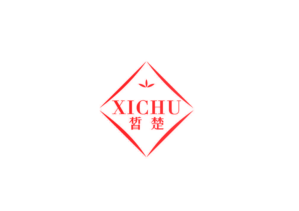 皙楚