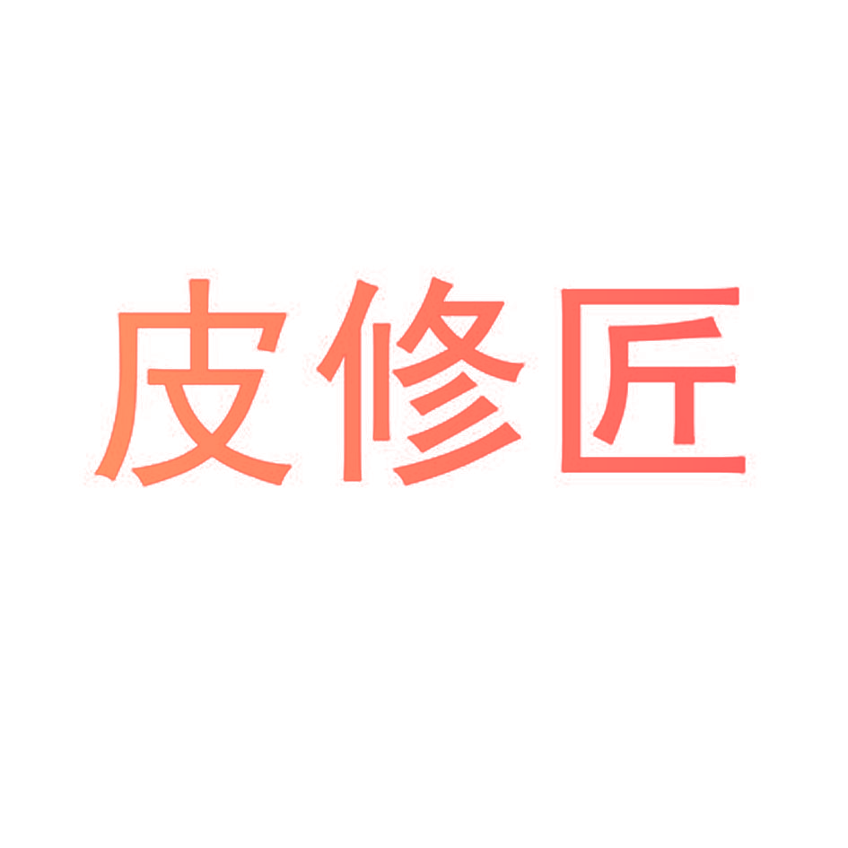皮修匠