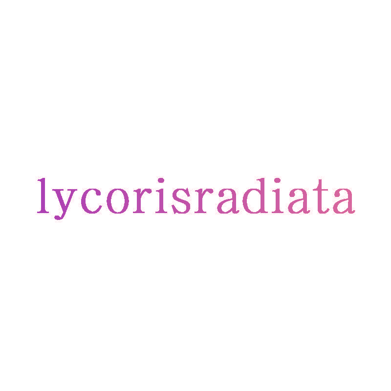 LYCORISRADIATA