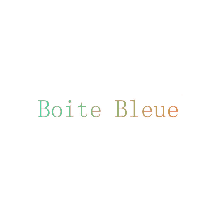 BOITE BLEUE