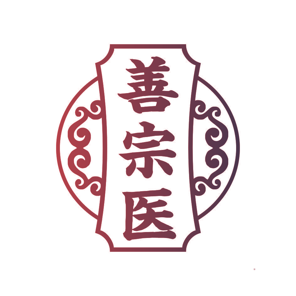善宗医