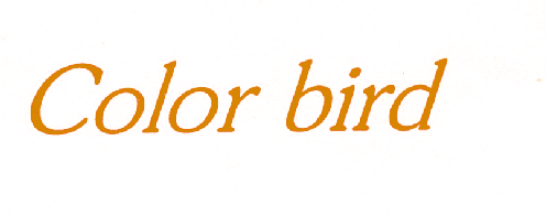 COLOR BIRD