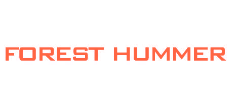 FOREST HUMMER