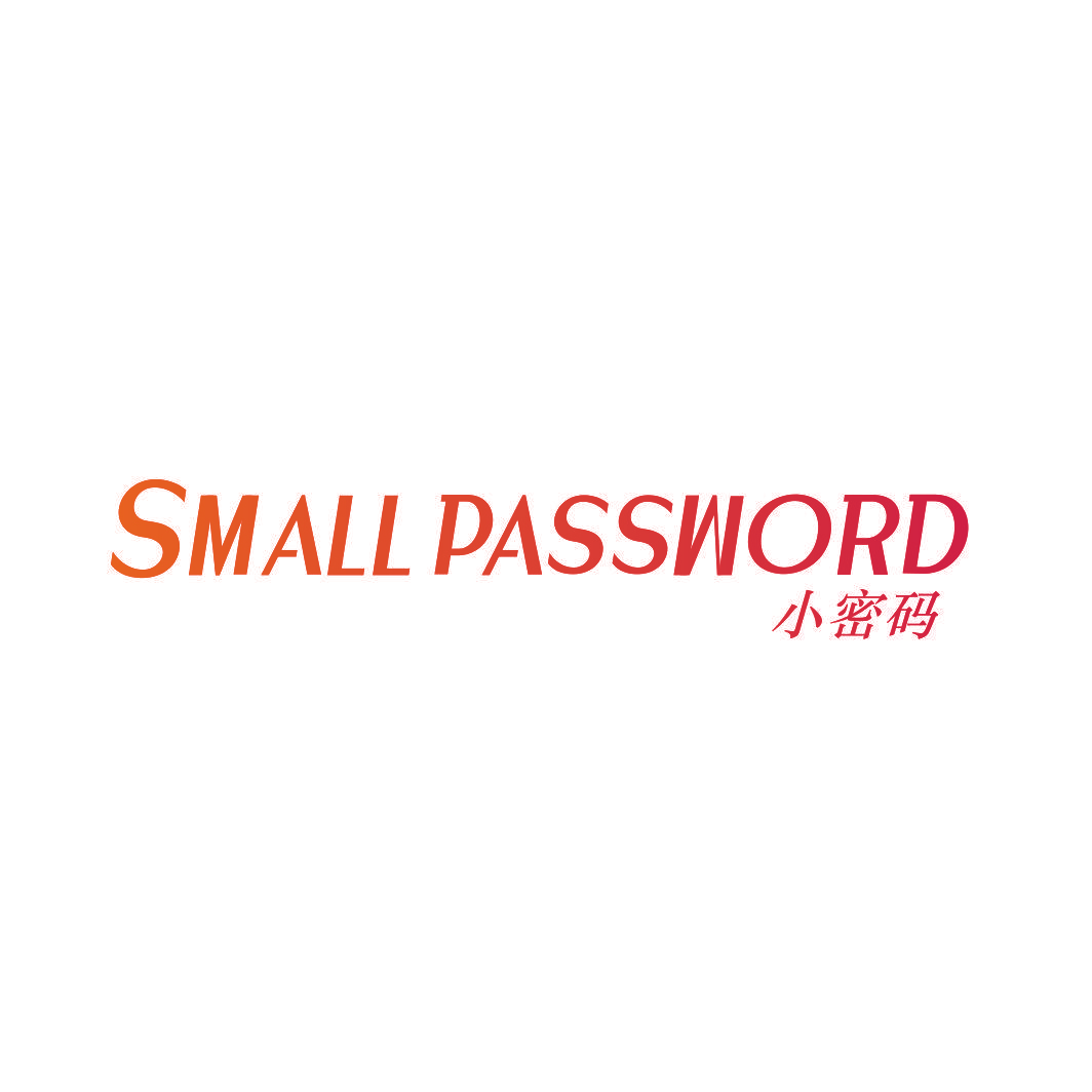 小密码 SMALL PASSWORD