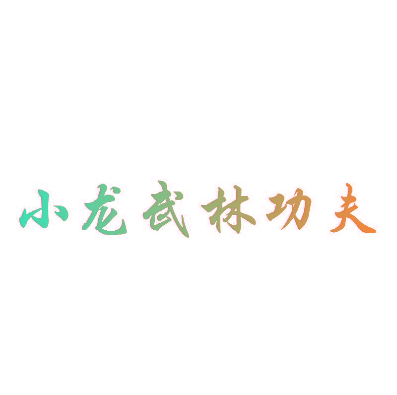 小龙武林功夫
