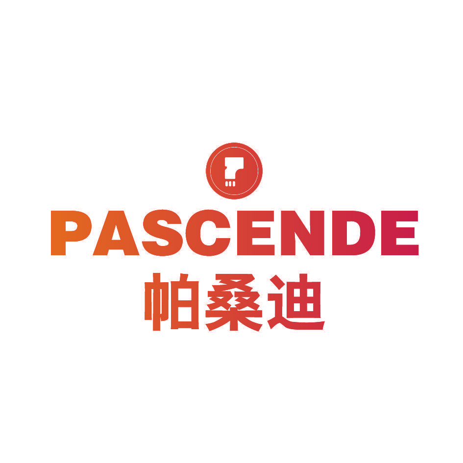 帕桑迪 PASCENDE
