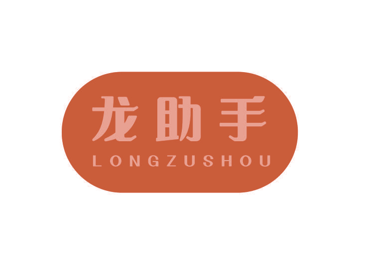 龙助手 LONGZUSHOU