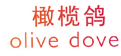橄榄鸽,OLIVEDOVE