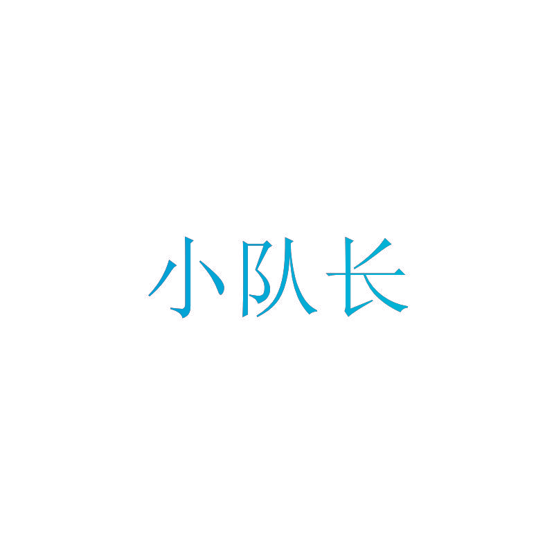 小队长