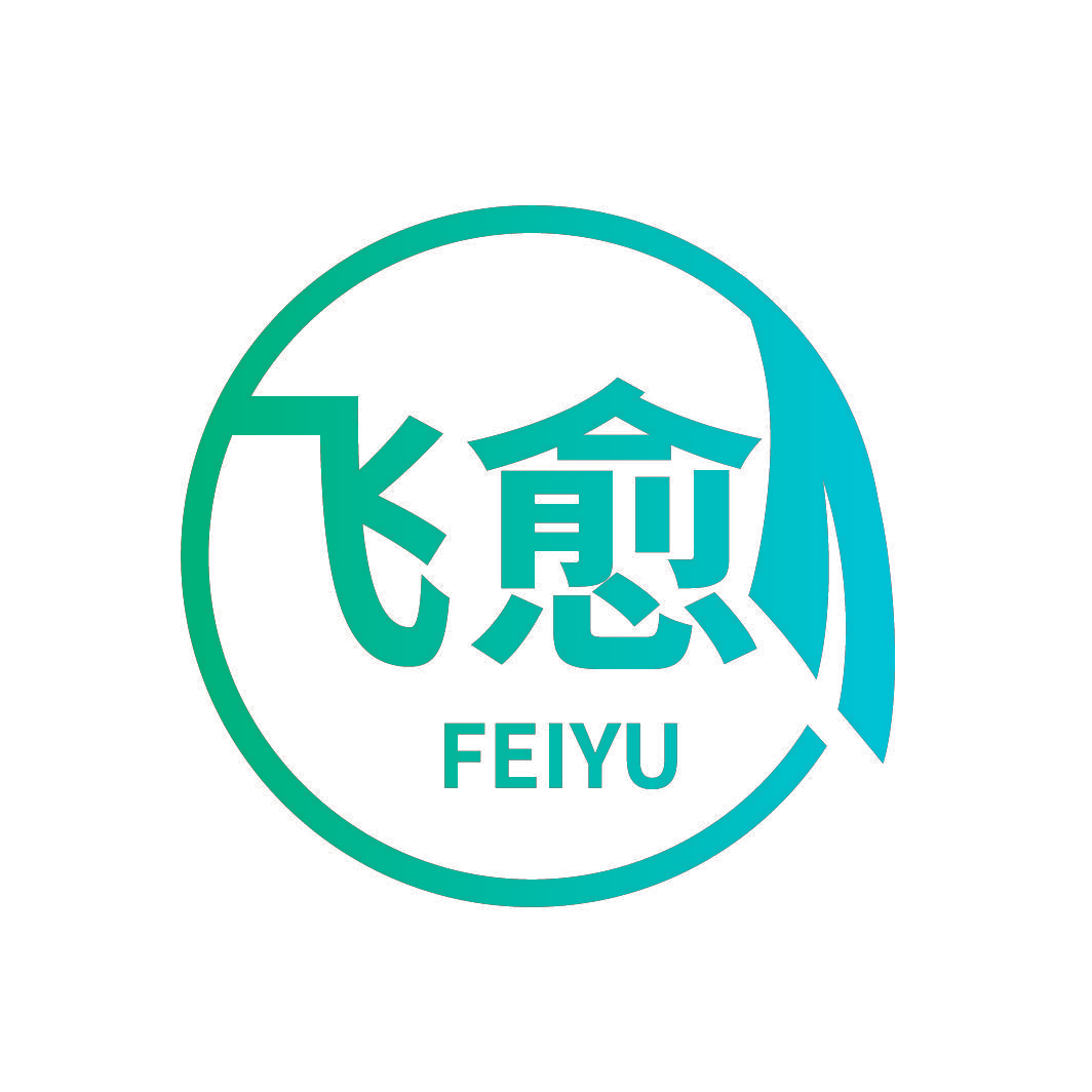 飞愈