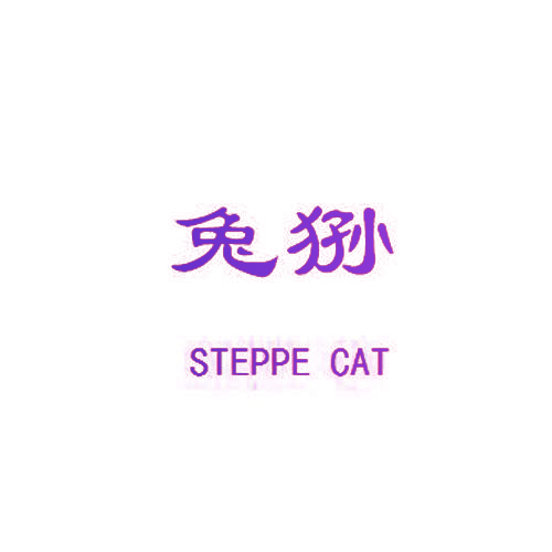兔狲  STEPPE CAT