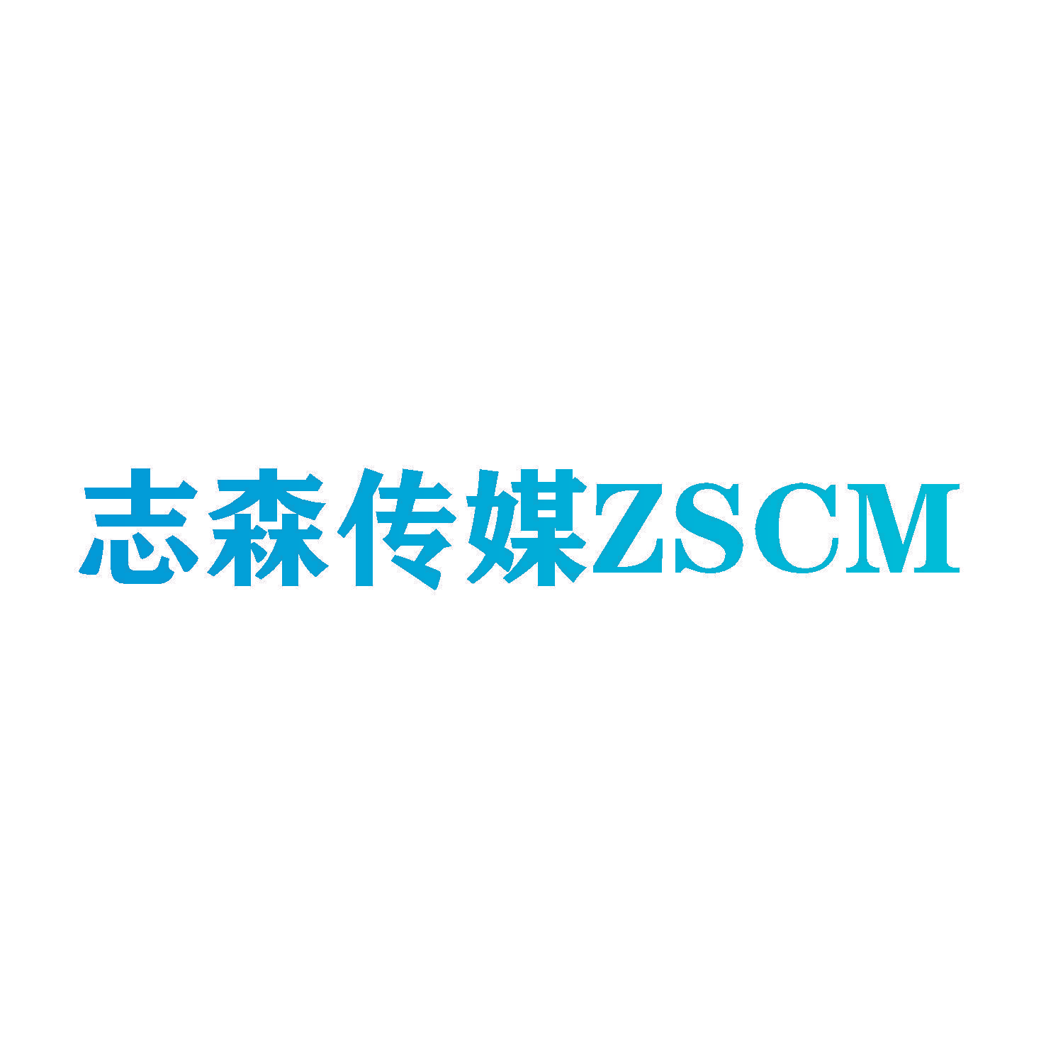 志森传媒ZSCM