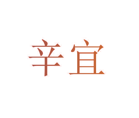 辛宜