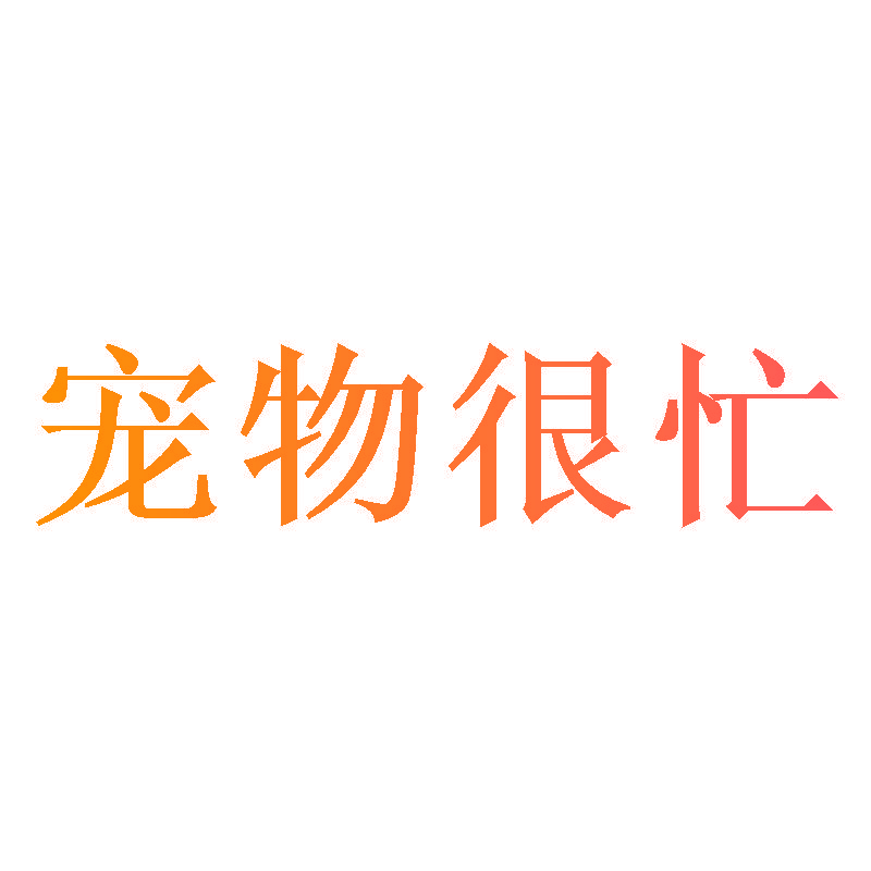 宠物很忙