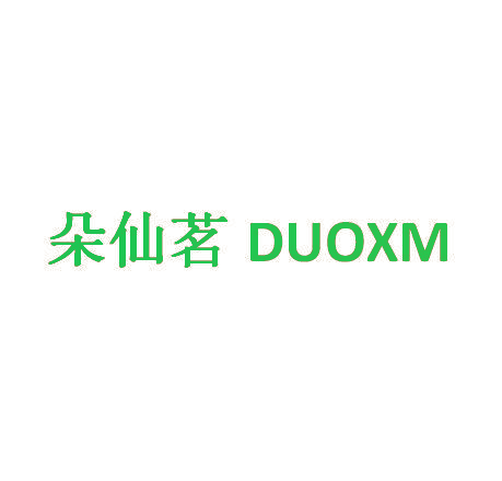 朵仙茗  DUOXM