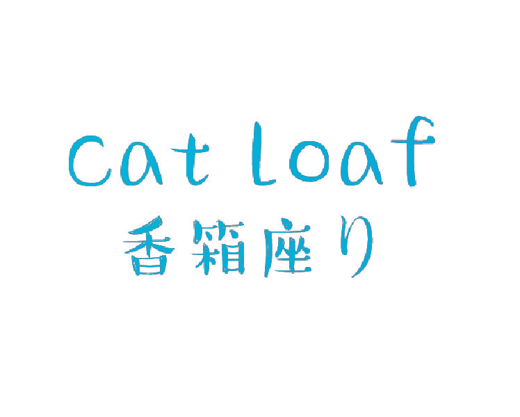 香箱座 CAT LOAF