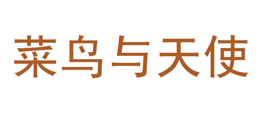菜鸟与天使