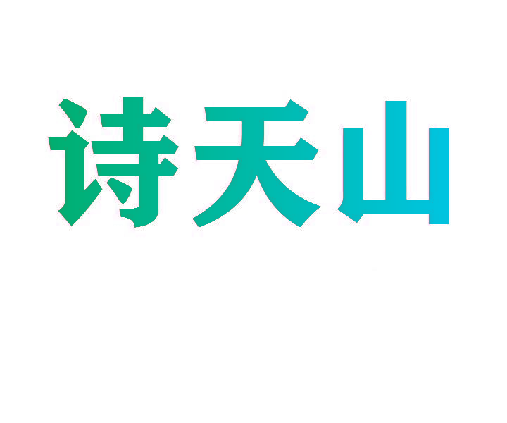 诗天山
