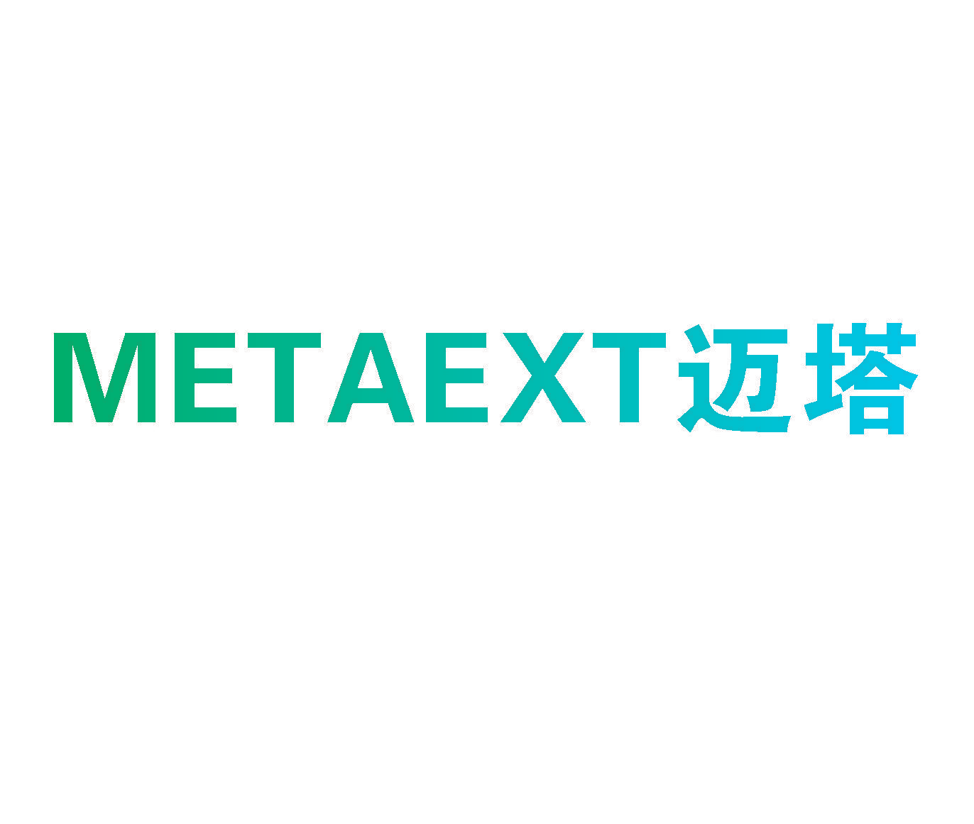 迈塔 METAEXT