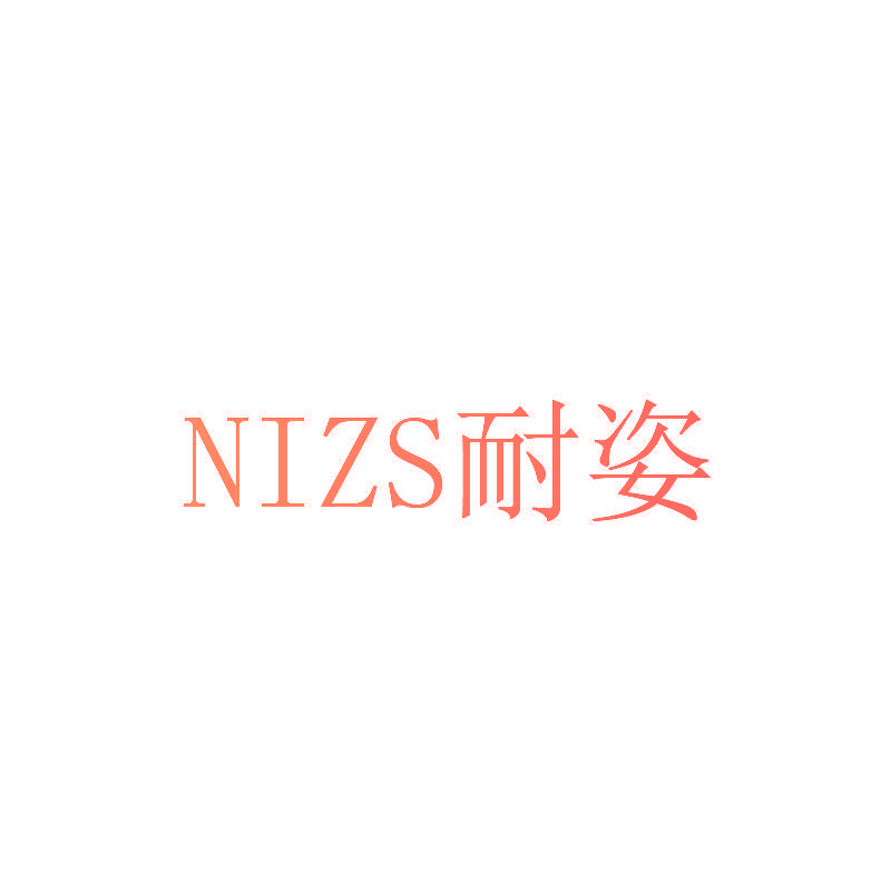 NIZS 耐姿