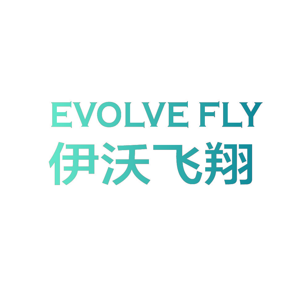 伊沃飞翔 EVOLVE FLY