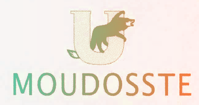 MOUDOSSTE U
