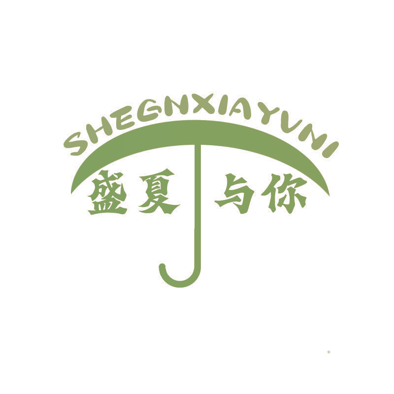 盛夏与你 SHEGNXIAYVNI