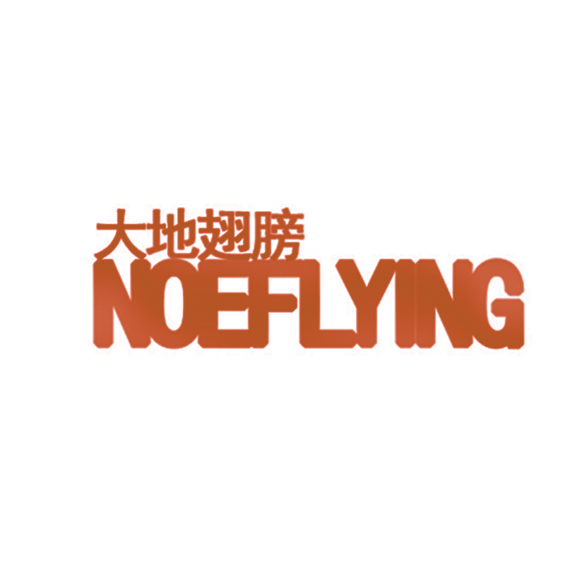 大地翅膀 NOEFLYING