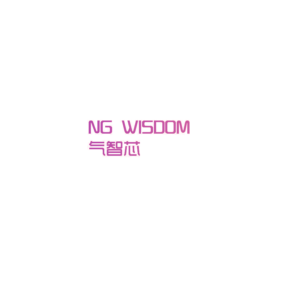 气智芯 NG WISDOM